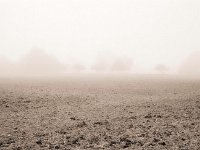 Feld und Bäume im Nebel  Fuji GS645S professional,  Fuji Acros 100II