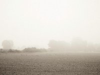 Wildgänse im Nebel  Fuji GS645S professional,  Fuji Acros 100II