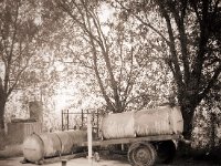 Wasser für die Weidetiere  Fuji GS645S professional,  Fuji Acros 100II