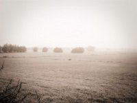 Das Eisenbahnviadukt im Nebel  Fuji GS645S professional,  Fuji Acros 100II
