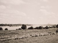 Rheinblick  Fuji GS645S professional WIDE60, Fuji Acros 100II  - 02.09.2021 -