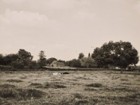 Friedliche Stille  Fuji GS645S professional WIDE60, Fuji Acros 100II  - 02.09.2021 -