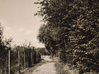 Wegsperre  Fuji GS645S professional WIDE60, Fuji Acros 100II  - 02.09.2021 -