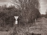 Naturschutz  Pentax K-1, SMC Pentax-FA 1.9/43 Limited  - 03.01.2021 - : Naturschutzschild, Schilder, Landschaft