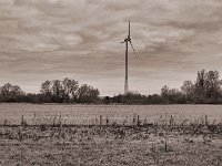 Windrad  Pentax K-1, SMC Pentax-FA 1.9/43 Limited  - 03.01.2021 -