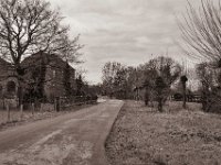Kopfbäume  Pentax K-1, SMC Pentax-FA 1.9/43 Limited  - 03.01.2021 - : Bauernhaus, Weg, Straße, Kopfweide