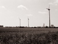 Windräder, Felder und Salz  Pentax MZ-S, SMC FA  1.9/43 Limited, Adox CHS100II