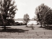 Blick zur Xantener Nordsee  Pentax MZ-S, SMC FA  1.9/43 Limited, Adox CHS100II  - 03.07.2021 -