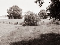 Es ist zu warm in der Sonne  Pentax MZ-S, SMC FA  1.9/43 Limited, Adox CHS100II  - 03.07.2021 -
