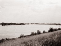 Der Rhein macht eine Kurve  Pentax MZ-S, SMC FA  1.9/43 Limited, Adox CHS100II  - 03.07.2021 -