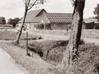 Verkehrsopfer  Pentax MZ-S, SMC FA  1.8/77 Limited, Bergger Pancro400@200  - 04.08.2021 -