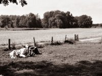 Ruheposition  Pentax MZ-S, SMC FA  1.8/77 Limited, Bergger Pancro400@200  - 04.08.2021 -