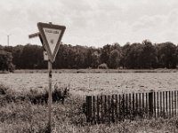 Naturschutz  Pentax MZ-S, SMC FA  1.8/77 Limited, Bergger Pancro400@200  - 04.08.2021 -