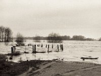 Möwenansitz  Pentax LX, SMC FA  1.8/77 Limited, Bergger Pancro400  - 04.02.2021 -