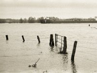 Rheinschiff  Pentax LX, SMC FA  1.8/77 Limited, Bergger Pancro400  - 04.02.2021 -
