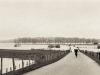 Umkehr  Pentax LX, SMC FA  1.8/77 Limited, Bergger Pancro400  - 04.02.2021 -