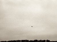 Segelflug  Pentax LX, SMC FA  1.8/77 Limited, Adox CHS100II  - 04.02.2021 -