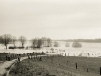Ausflug zum Hochwasser  Pentax LX, SMC FA  1.8/77 Limited, Adox CHS100II  - 04.02.2021 -