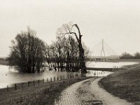 Langsames Sterben  Pentax LX, SMC FA  1.8/77 Limited, Adox CHS100II  - 04.02.2021 -