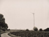 Diesiger Morgen  Pentax 645N, SMC FA 2.8/150, Bergger Pancro400  - 04.09.2021 -
