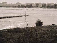 Entenfamilie in der Flussmündung  Pentax 645N, SMC FA 2.8/150, Bergger Pancro400  - 04.09.2021 -