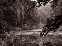 .... und Abflug  Pentax 645N, SMC FA 2.8/150, Bergger Pancro400  - 04.09.2021 -