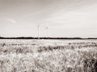 Gerstenfeld und Windräder  Pentax 645N, SMC FA 2.8/45, Fuji Acros 100II  - 08.07.2021 -