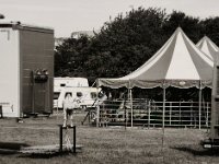 Dromedar im Zirkus  Pentax 645N, SMC FA 2.8/150, Fuji Acros 100II - 08.07.2021 -