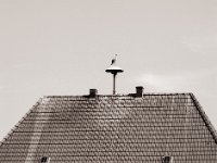 Sirene mit Storch  Pentax 645N, SMC FA 2.8/150, Fuji Acros 100II  - 08.07.2021 -
