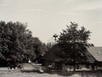 Störche am Pferdehof  Pentax 645N, SMC FA 2.8/150, Fuji Acros 100II  - 08.07.2021 -