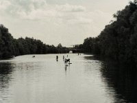 Stehpaddler  Pentax 645N, SMC FA 2.8/150, Bergger Pancro400@200  - 08.07.2021 -