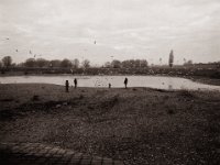 Möwen schauen  Pentax 645N, SMC-FA 2.8/45, Bergger Pancro400