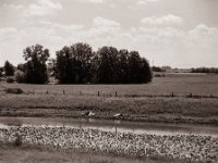 Ruheplatz am Ufer  Pentax 67II, SMC Takumar 2.8/150, Bergger Pancro400@200  - 11.06.2021 -