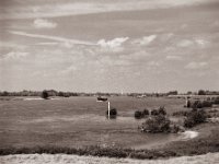 Uferlandschaft  Pentax 67II, SMC Takumar 2.8/150, Bergger Pancro400@200  - 11.06.2021 -