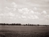 Flaches Land  Fuji GS645S professional WIDE60, Bergger Pancro400@200  - 12.07.2021 -