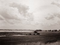 Flusslandschaft mit weitem Himmel  Fuji GS645S professional WIDE60, Bergger Pancro400@200  - 12.07.2021 -