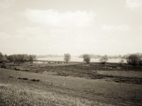 Rheinwiesen  Fuji GS645S professional WIDE60, Fuji 100 Acros II  - 12.05.2021 -