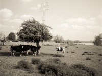 black&white and white&black  Fuji GS645S professional WIDE60, Fuji 100 Acros II - 12.05.2021 -