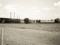 Blick auf die Reeser Rheinbrücke  Fuji GS645S professional WIDE60, Fuji 100 Acros II  - 12.05.2021 -