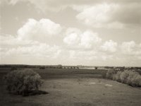Rheinwiesen und  Eisenbahnviadukt Ruine  Fuji GS645S professional WIDE60, Fuji 100 Acros II