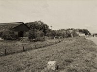 Zwei Störche im Nest und zwei Radler  Pentax 645N, SMC FA 2.8/45, Gelbfilter, Bergger Pancro400@200 - 14.05.2021 -