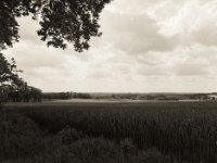Blick vom Hügel ins flache Land  Pentax 645N, SMC FA 2.8/45, Gelbfilter, Bergger Pancro400@200  - 14.05.2021 -
