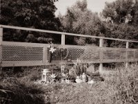 Erinnerung  Fuji GS645S professional WIDE60, Fuji Acros 100II  - 15.10.2021 -