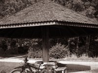Rastplatz  Fuji GS645S professional WIDE60, Fuji Acros 100II  - 15.10.2021 -