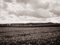 Felder, Wald und Wolken  Fuji GS645S professional WIDE60, Fuji Acros 100II  - 15.10.2021 -