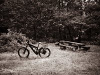 In der Hees  Fuji GS645S professional WIDE60, Fuji Acros 100II  - 15.10.2021 -