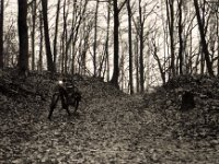 Fototermin Waldweg  Pentax LX, SMC FA 1.8/43 Limited, Bergger Pancro400  - 18.12.2021 -