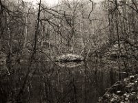 Der Bombentrichter wurde zum Waldteich  Pentax LX, SMC FA 1.8/43 Limited, Bergger Pancro400  - 18.12.2021 -