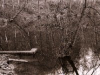 Bunkerreste im Wasser  Pentax LX, SMC FA 1.8/43 Limited, Bergger Pancro400  - 18.12.2021 -