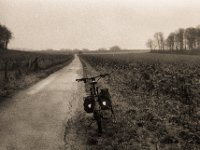 Hinauf zum Fürstenberg Hügel  Pentax LX, SMC FA 1.8/43 Limited, Bergger Pancro400  - 18.12.2021 -